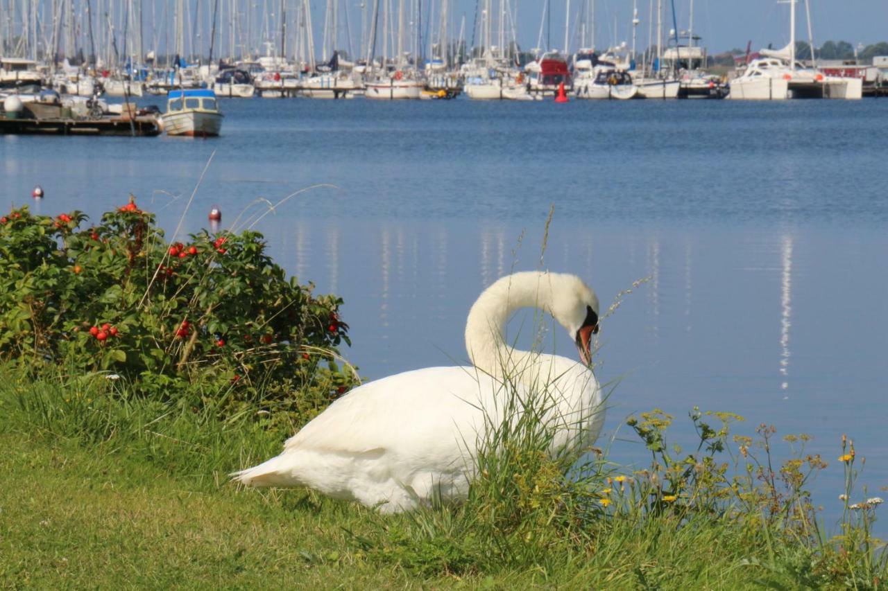 2Zi-Ferienwohnung Am Suedstrand Mit Eigenem Parkplatz Perfekt Fuer Familie Burgtiefe auf Fehmarn Kültér fotó
